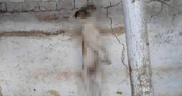 İzmir'de Köpeği Asarak Öldürdüler, Olay Yerine Giden Polis Köpeği Yerinde Bulamadı İzmir'de Asılarak Öldürülen Köpek İçin Giden Polisler, Şok Yaşadı