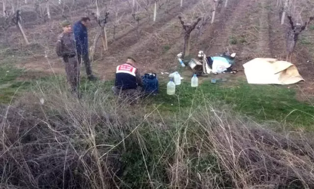 Tarlada Uyuyan 3 Yaşındaki Oğlunu Görmedi, Kamyonetle Üzerinden Geçti