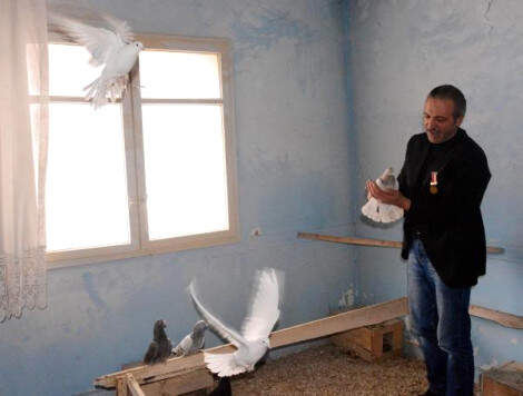 Güvercinleri İçin Bin Liraya 2 Ev Tuttu, İçini Kuşlara Göre Döşedi