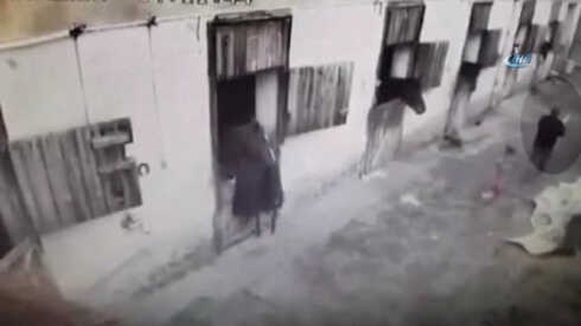 Ankara'da Hırsızın Kangalı Kucaklayarak Çaldığı Anlar Kamerada
