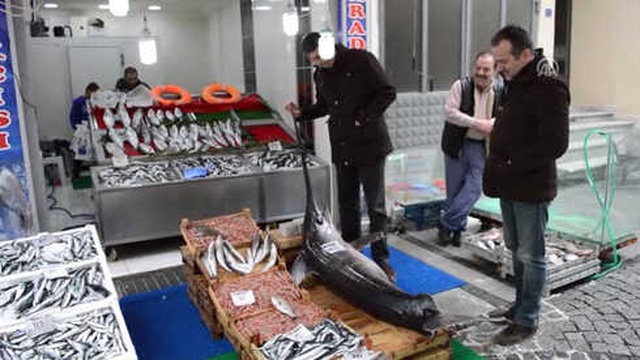 Marmara Denizi'nde Yakalanan 2,5 Metrelik Kılıç Balığının Kilosu Dudak Uçuklattı