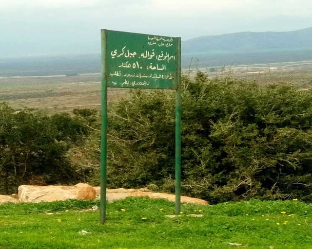 Afrin'de 5 Köy Daha ÖSO'nun Kontrolüne Geçti