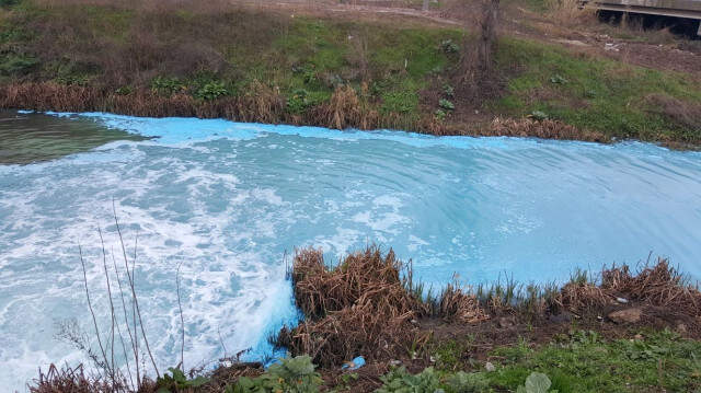 Kocaeli'de Kilez Deresi, Kimyasal Madde Yüzünden Maviye Boyandı