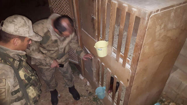 Köpek ve <a class='keyword-sd' href='/horoz-dovusu/' title='Horoz Dövüşü'>Horoz Dövüşü</a> Yapanlar Suçüstü Yakalandı!