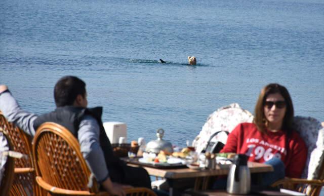 Muğla'da Vatandaşlar Kışın Ortasında Denize Girdi