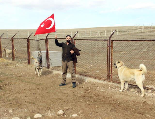 Kangal Köpekleri Zeytin Dalı Harekatı'na Hazırlanıyor