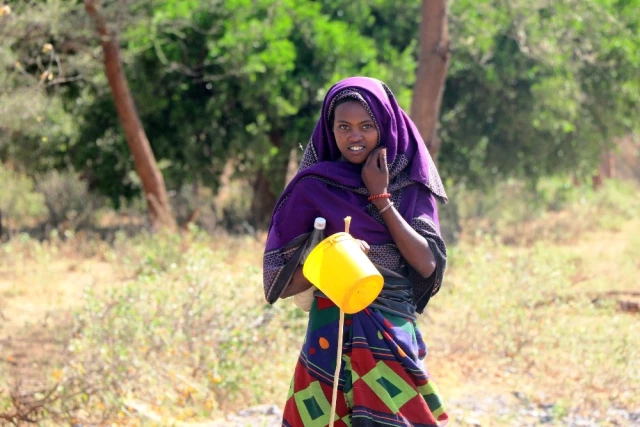 Etiyopya'da Milyonlarca İnsan, Kilometrelerce Yolu Kirli Su İçin Yürüyor