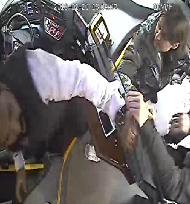 Otobüse Kanoyla Binmek İsteyen Çift İle Şoför Arasında Yumruklu Kavga Kamerada