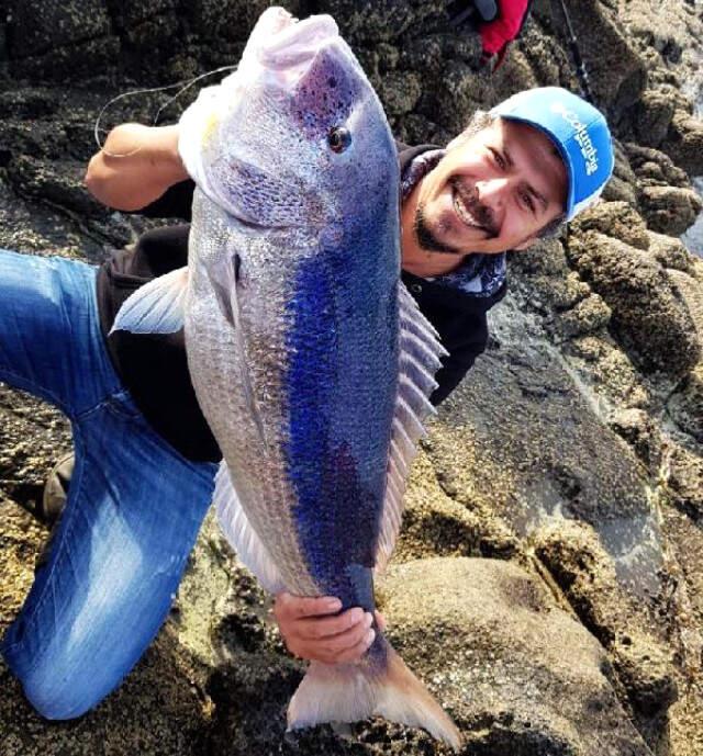 Bodrum'da Balıkçı, 1 Metre 20 Santimetrelik Sinariti Oltayla Yakaladı