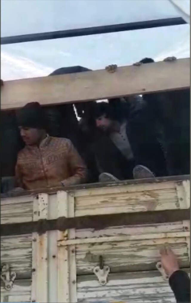 Koyun Taşımada Kullanılan Kamyonetin Kasasından 151 Kaçak Göçmen Çıktı