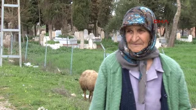 Sınırda Yaşam Mücadelesi! 86 Yaşındaki Nine, Silah Sesleri Arasında Çobanlık Yapıyor