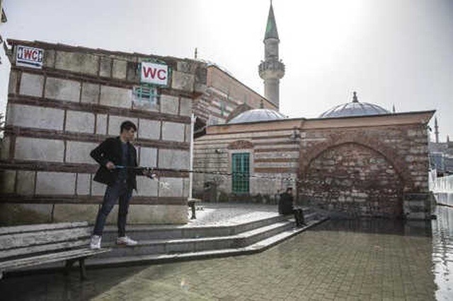 Deniz Anaları 538 Yıllık Tarihi Caminin Bahçesini İstila Etti