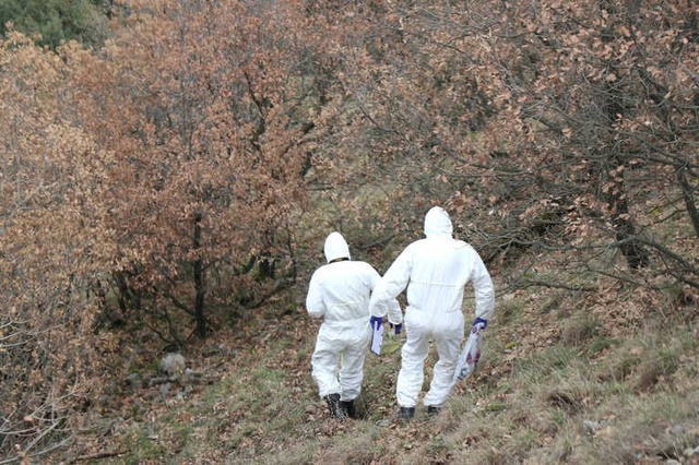 Çobanlık Yapan Çocuk 50 Metrelik Uçurumdan Düşerek Can Verdi