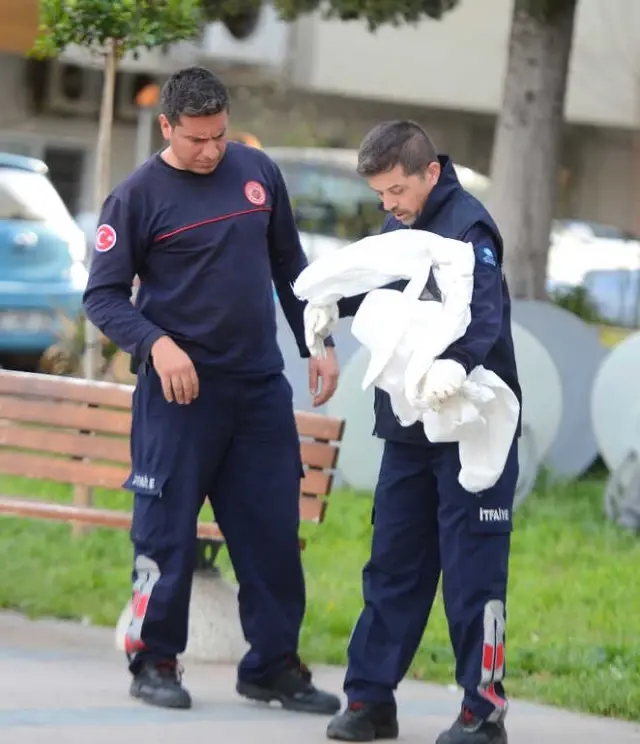 Parkta Arıların Saldırısına Uğrayan Vatandaşları, Haber Yapmaya Giden Muhabir Kurtardı