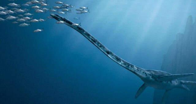 ABD'de Sahile Vuran Yaratık, 