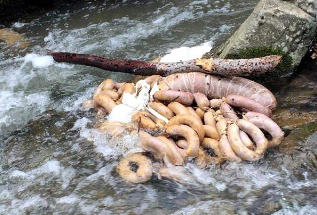Dereden Yüzlerce Kilo Sucuk ve Kokoreç Çıktı! Atan Firmada Daha Önce At Eti Tespit Edilmiş