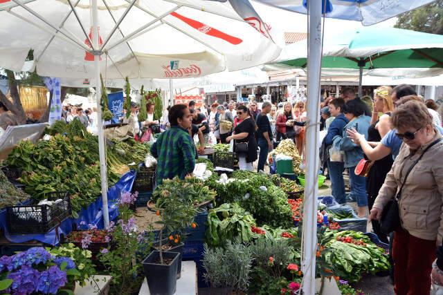 Şimdi Festival Zamanı!