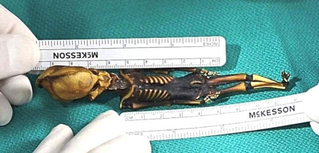 Uzaylı Zannedilen 15 Cm'lik Mumyanın Gizemi Çözüldü