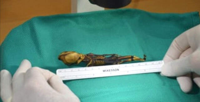 Uzaylı Zannedilen 15 Cm'lik Mumyanın Gizemi Çözüldü