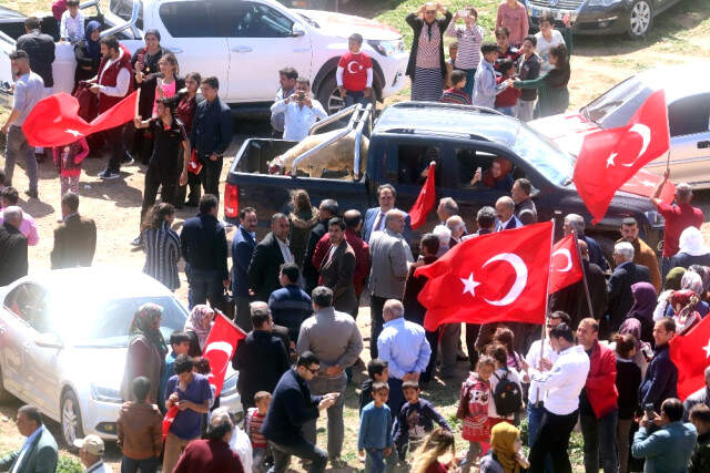 Arap Kökenli Tayy Aşireti, Zeytin Dalı Harekatı Zaferini Kutladı