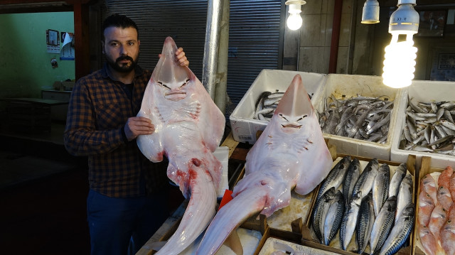Balıkçının Ağına Takılan İnsan Yüzlü Balıklar Görenleri Hayrete Düşürdü