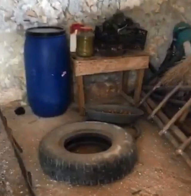 Mayın Arama Köpeği Leylak'ın Bulduğu EYP, METİ Tarafından İmha Edildi