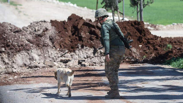 Mayın Arama Köpeği Leylak'ın Bulduğu EYP, METİ Tarafından İmha Edildi