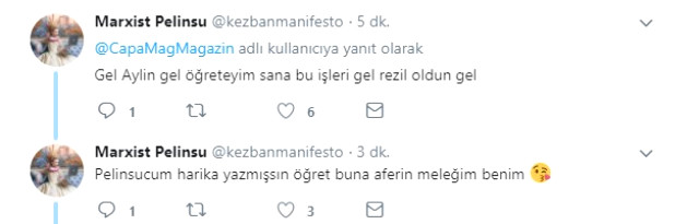 Sahte Hesaptan Kendine Övgüler Dizen Aylin Coşkun, Rezil Oldu