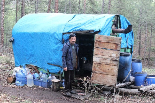 Gerçek Survivor! 34 Yıldır Ormana Kurdukları Çadırda Yaşıyorlar