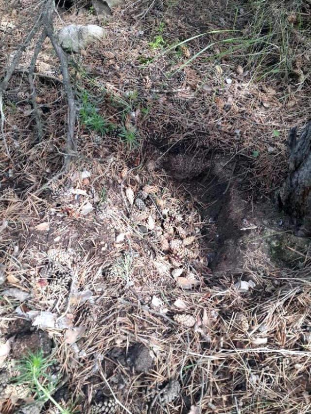 Kızının Arkadaşını Hamile Bıraktı, Öldürdüğü Bebeğin Cesedi 2 Yıldır Ortada Yok