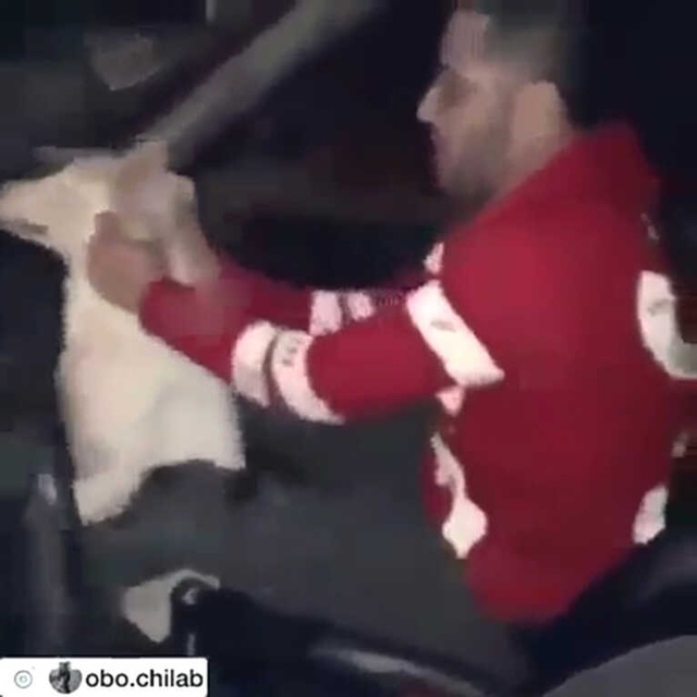 Sosyal Medyada Olay Olan Köpeğe Linç Videosu Irak'tan Çıktı
