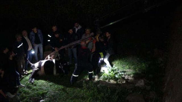 İstinat Duvarından Aşağı Düşen İneği İtfaiye Kurtardı İstinat Duvarından Aşağı Düşen İneği İtfaiye Kurtardı