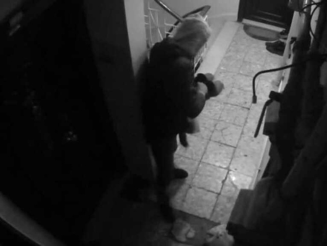 Güvenlik Kamerasına Aldırmadı, Bütün Apartmanı Soydu!