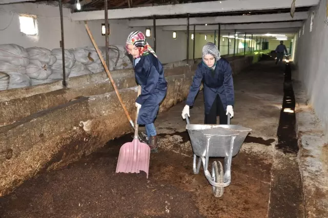 Bileziklerini Satıp Kendi İşlerinin Patronu Oldular