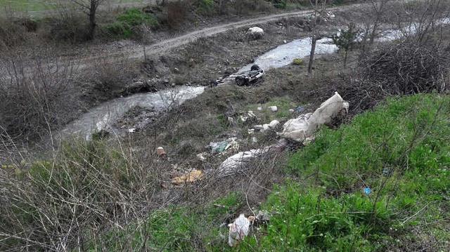 Yolda Gördüğü Kirpiyi Ezmemeye Çalışan Sürücü Dereye Uçtu: 2 Yaralı
