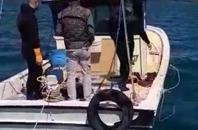 Yasa Dışı Olarak Deniz Patlıcanı Avlayan Balıkçılara Operasyon