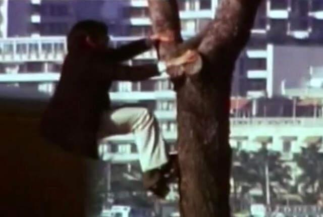 Çocukken Ailesini Kaybeden Adamı 19 Yaşına Kadar Kurtlar Yetiştirdi