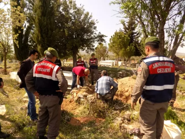 Kuzenlerinin Öz Kardeşleri Olduğunu 70 Yıl Sonra Öğrendi, 6 Mezar Açtırdı