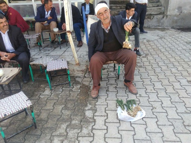 Zuzubak Otunun Kilogramı 350 Liradan Satılıyor