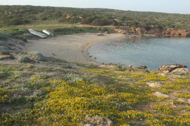 Turistik Akvaryum Koyu'na Yaptığı Kapıya Kilit Vurdu! Anne ve Çocuğu Mahsur Kaldı
