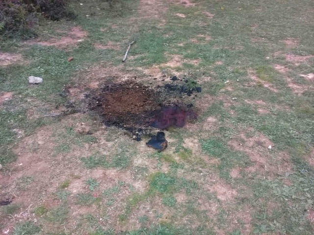 Sarıyer'de Dehşet! Öldürüp Ormanda Ateşe Verdiler