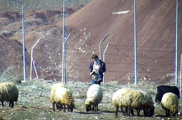 Cumhurbaşkanı, Koyun Otlatırken Kitap Okuyan Kader'i 23 Nisan Töreni'ne Davet Etti