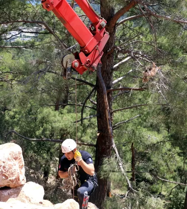 Kahvaltıya Giden Gençlerin Otomobili Uçuruma Yuvarlandı: 1 Ölü, 2 Yaralı