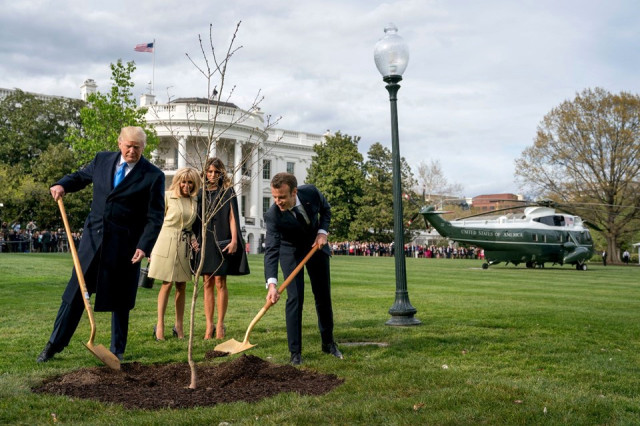 Trump ile Macron Beyaz Saray'ın Bahçesine Ağaç Dikti