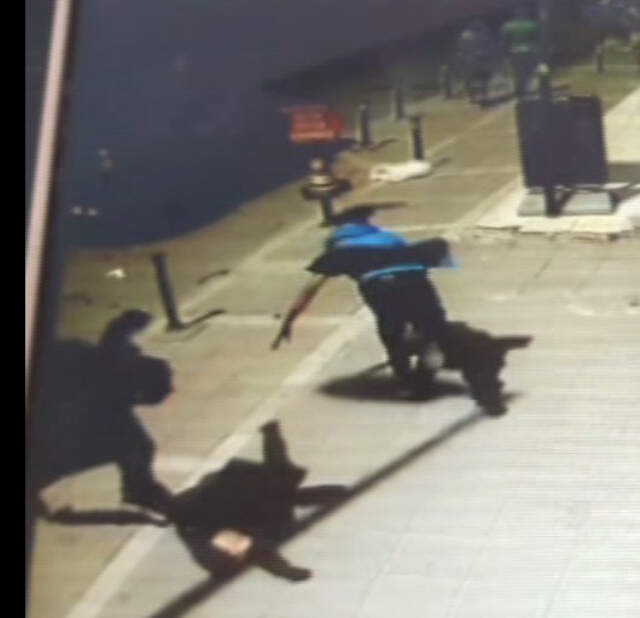 4 Hırsız Polisten Kaçarken Tekvandocuya Yakalanıp Yakayı Ele Verdi