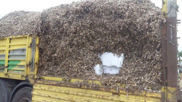 Gaziantep ve Adana'da 39 Bin Paket Kaçak Sigara Ele Geçirildi