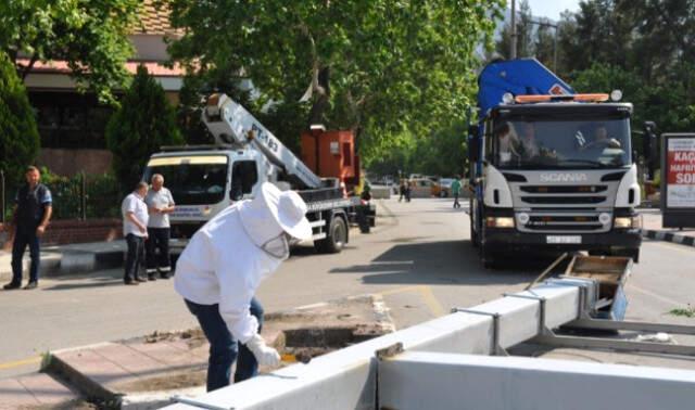 Önce Kadıköy Sonra Mecidiyeköy! Kovandan Kaçan Arılar Zor Anlar Yaşattı