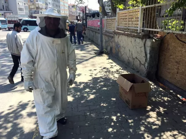 Kadıköy'de Korku Dolu Anlar! Kovandan Kaçan Arılar Vatandaşa Zor Anlar Yaşattı