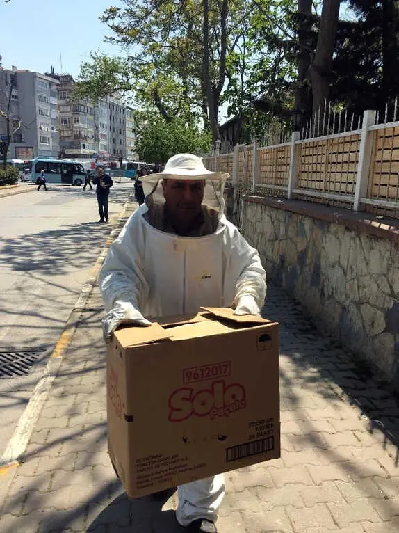 Kadıköy'de Korku Dolu Anlar! Kovandan Kaçan Arılar Vatandaşa Zor Anlar Yaşattı