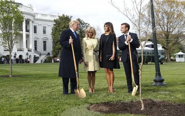 Macron ve Trump'ın Diktiği Fidan Beyaz Saray'ın Bahçesinden Kaldırıldı